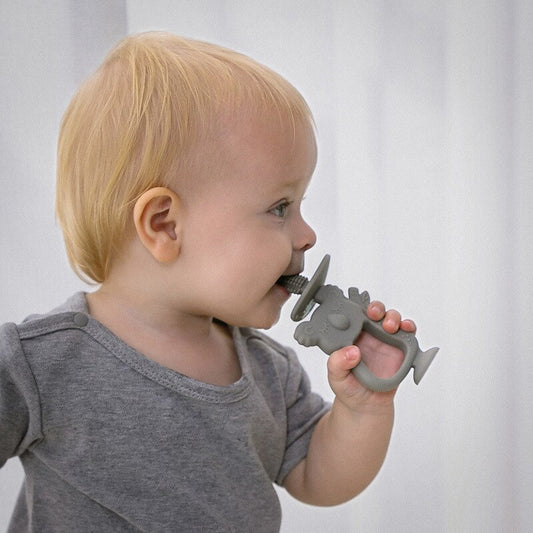 Brosse à Dents Koala pour bébé